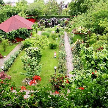 Pension Delia Gardens Τιμισοάρα Εξωτερικό φωτογραφία