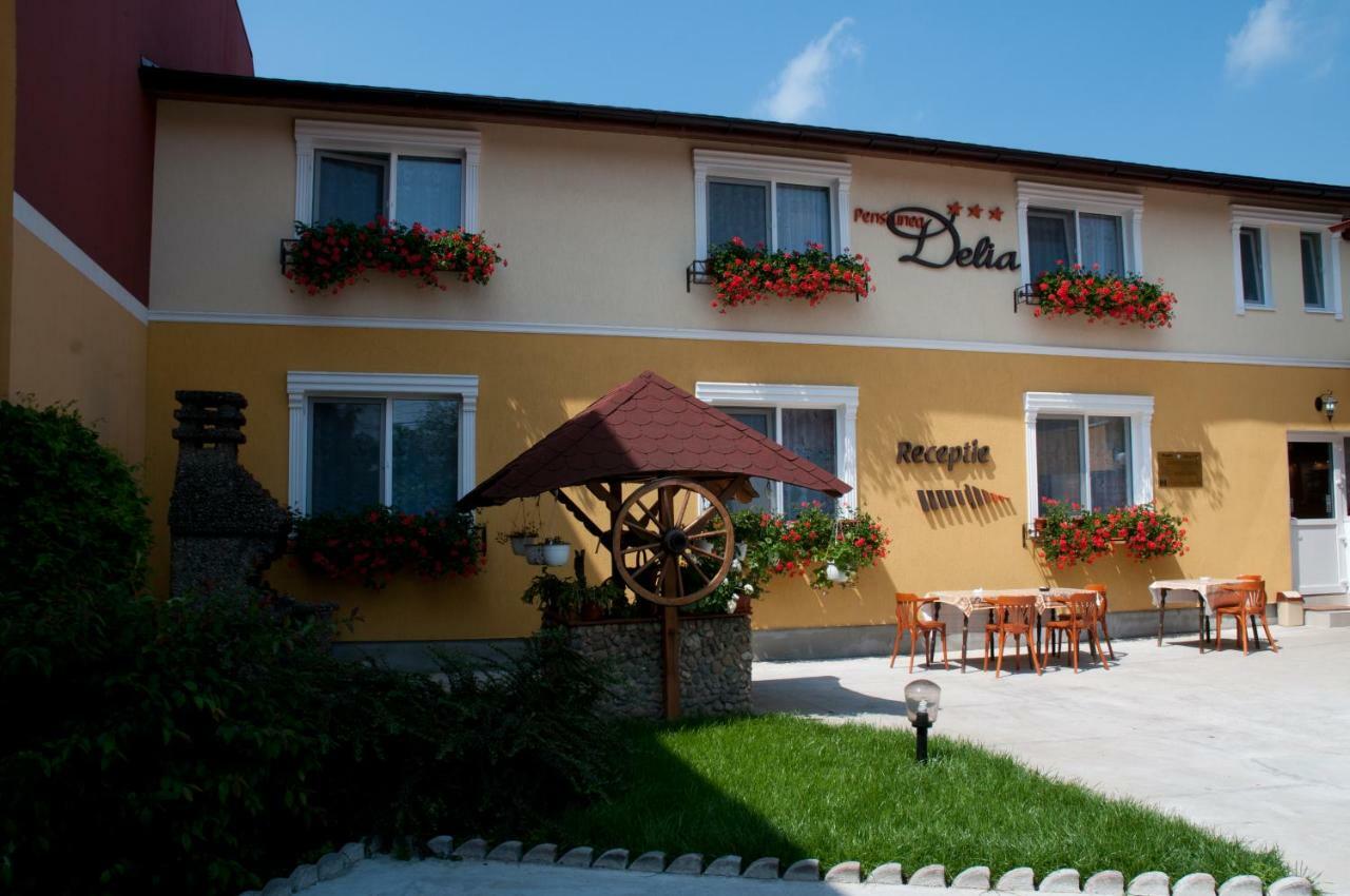 Pension Delia Gardens Τιμισοάρα Εξωτερικό φωτογραφία