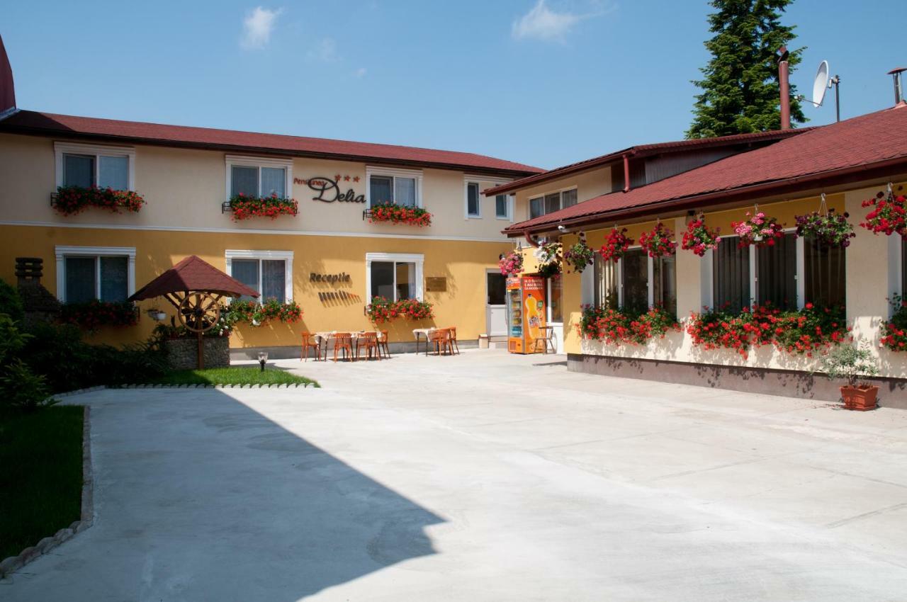 Pension Delia Gardens Τιμισοάρα Εξωτερικό φωτογραφία
