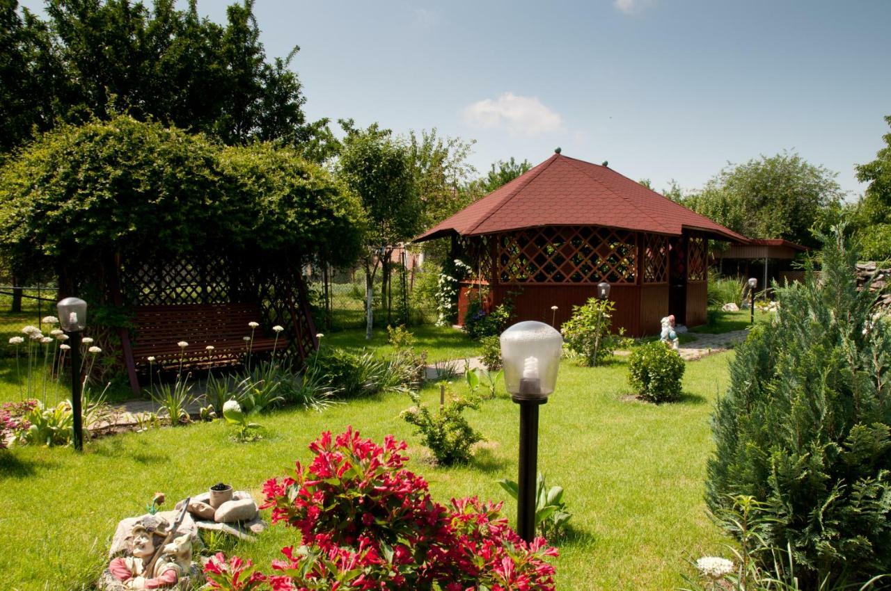 Pension Delia Gardens Τιμισοάρα Εξωτερικό φωτογραφία