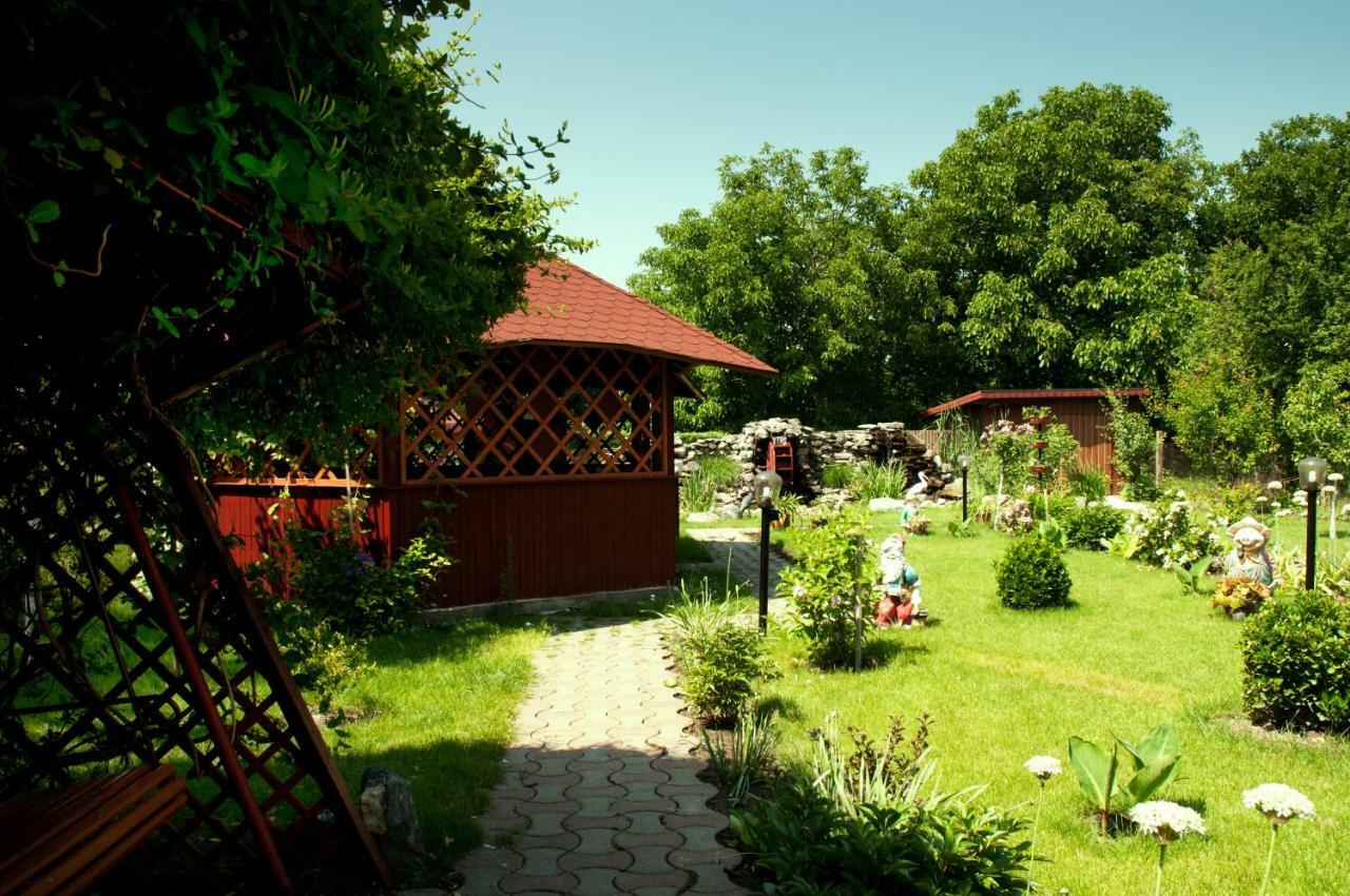 Pension Delia Gardens Τιμισοάρα Εξωτερικό φωτογραφία
