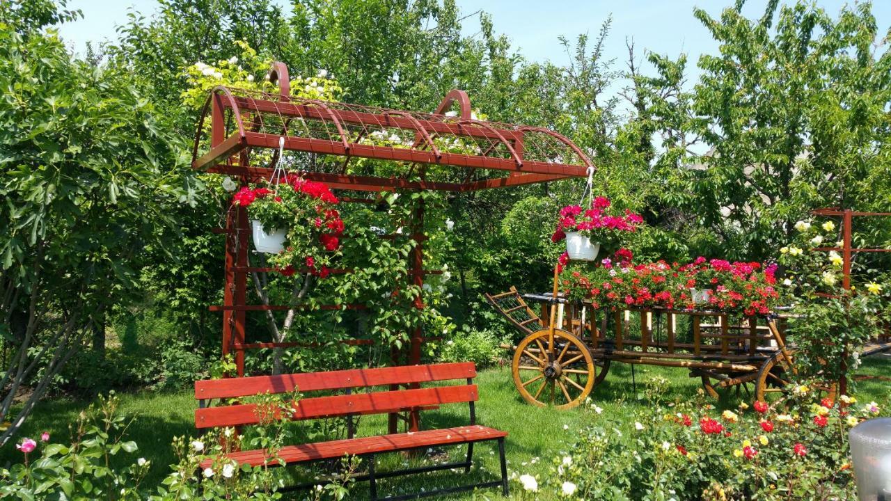 Pension Delia Gardens Τιμισοάρα Εξωτερικό φωτογραφία