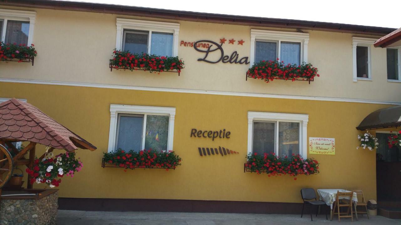 Pension Delia Gardens Τιμισοάρα Εξωτερικό φωτογραφία