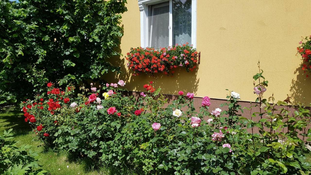 Pension Delia Gardens Τιμισοάρα Εξωτερικό φωτογραφία