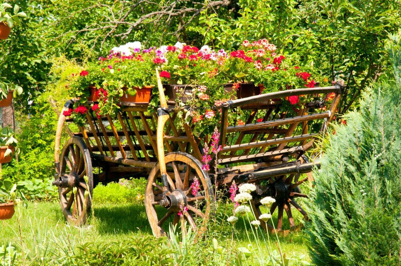 Pension Delia Gardens Τιμισοάρα Εξωτερικό φωτογραφία